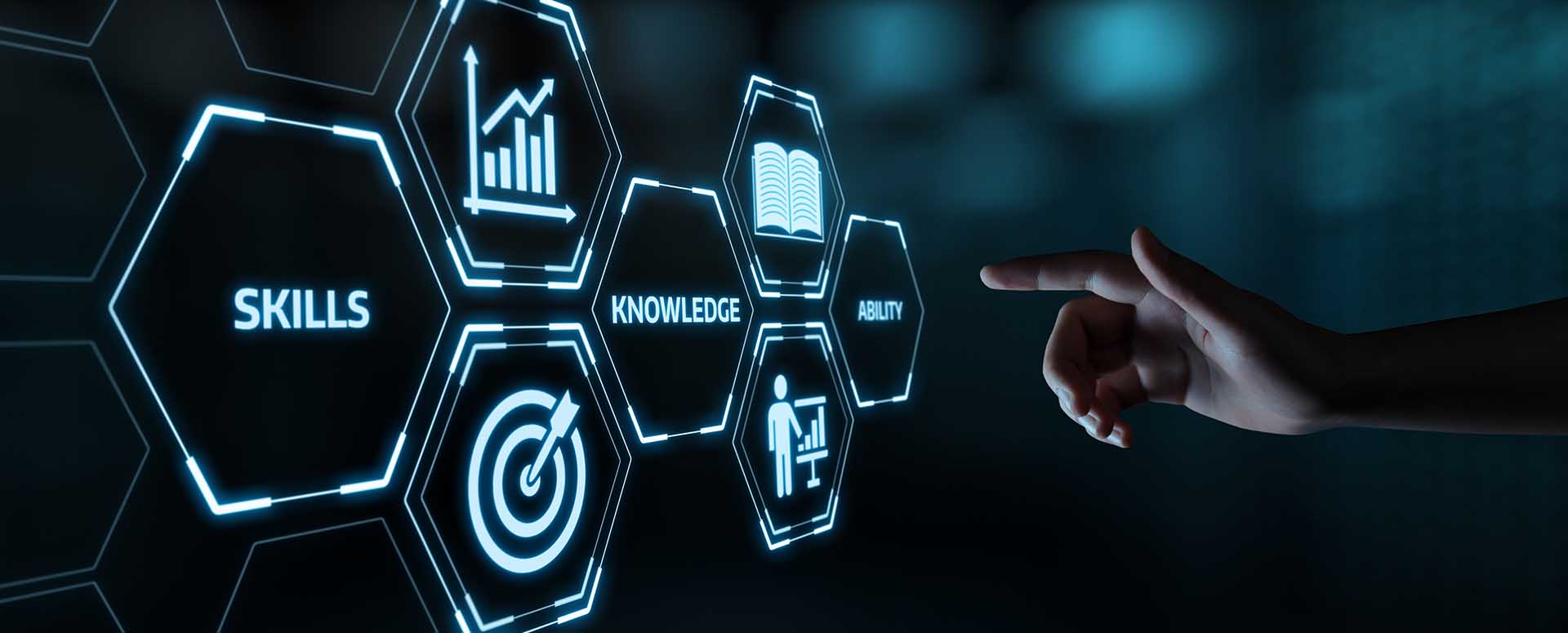 Application Consultant