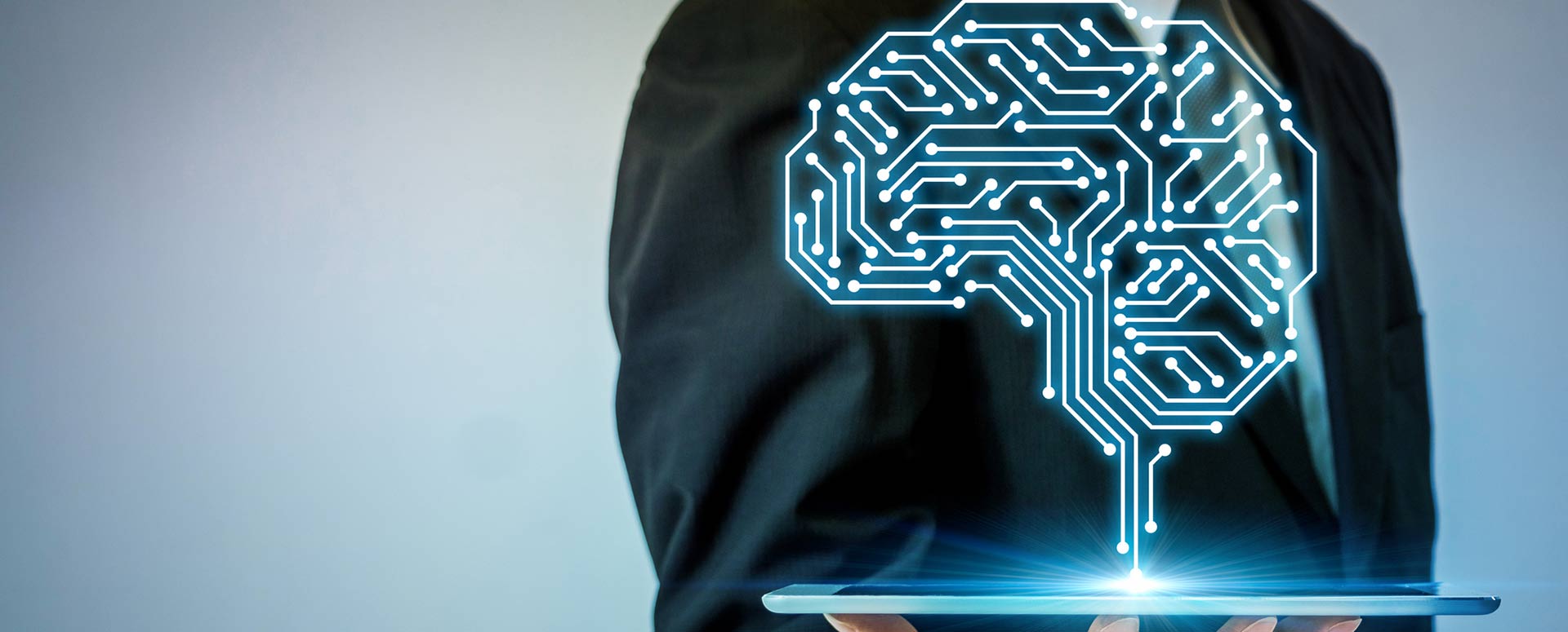 Application Consultant